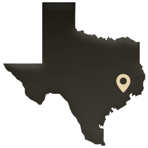Houston Texas Map Location